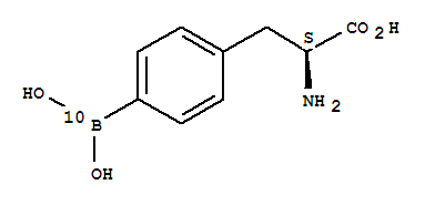 10BenrichedL-4-boronophenylalanine,GMPBPA