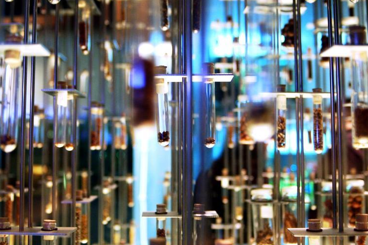 Everything You Need To Know About Active Pharmaceutical Ingredients (API In Pharma)