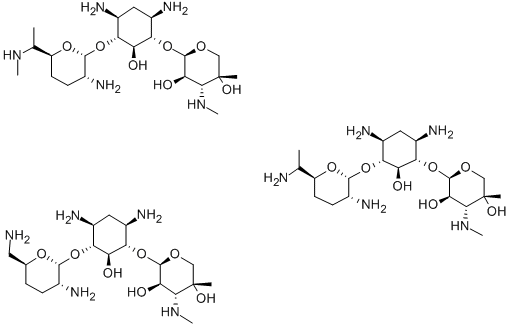 Gentamicin Injection